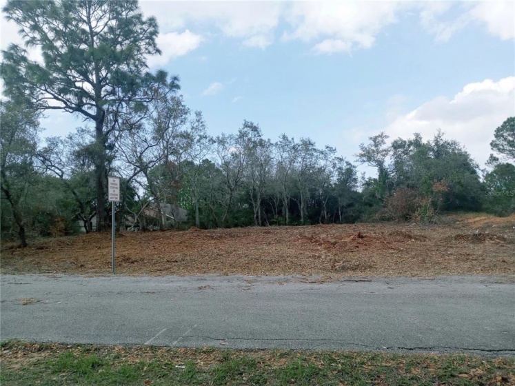 107 WARMOUTH LANE, POINCIANA, Florida 34759, ,Land,For Sale,WARMOUTH,T3354613