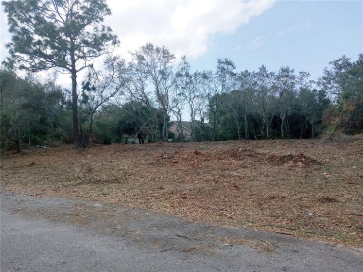 107 WARMOUTH LANE, POINCIANA, Florida 34759, ,Land,For Sale,WARMOUTH,T3354613
