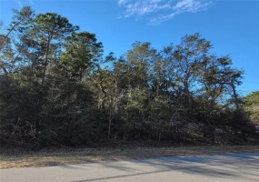 806 BAHIA CIRCLE, OCALA, Florida 34472, ,Land,For Sale,BAHIA,OM634150