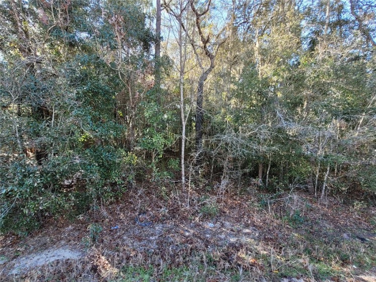 806 BAHIA CIRCLE, OCALA, Florida 34472, ,Land,For Sale,BAHIA,OM634150