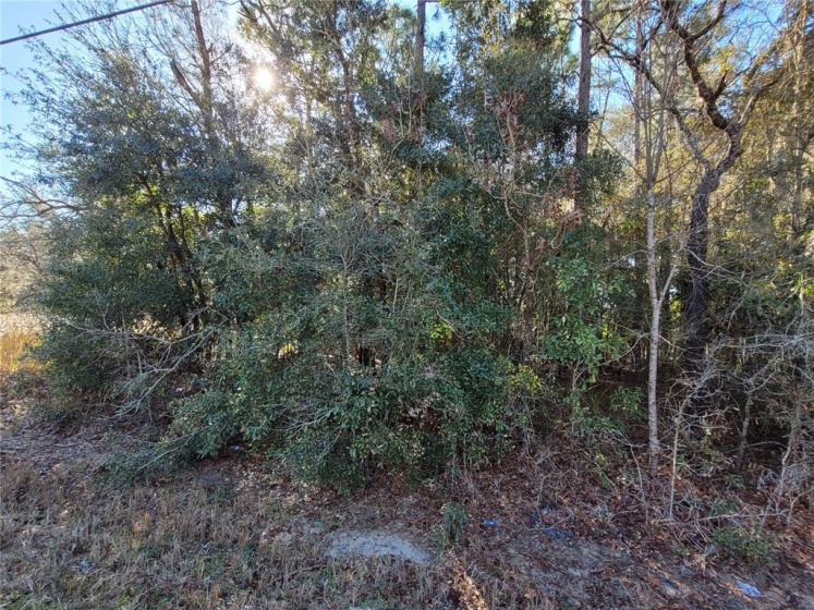 806 BAHIA CIRCLE, OCALA, Florida 34472, ,Land,For Sale,BAHIA,OM634150