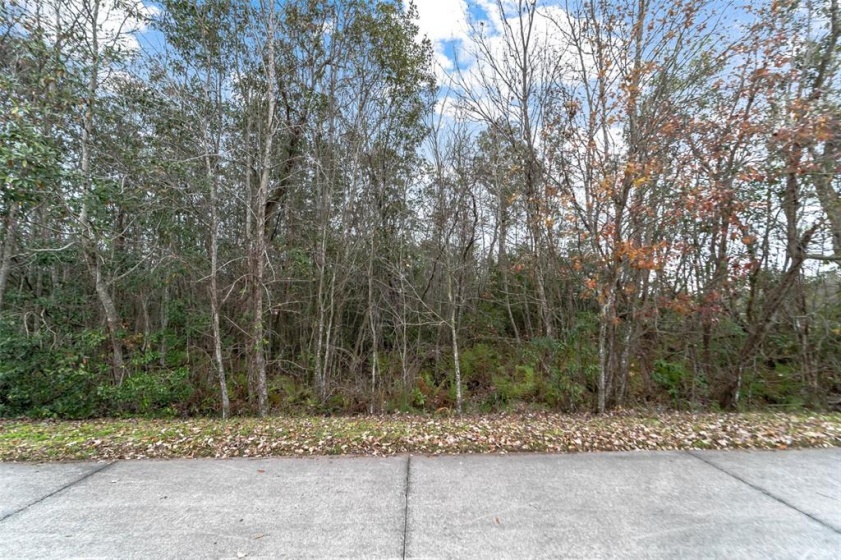 2316 ROUSE ROAD, ORLANDO, Florida 32817, ,Land,For Sale,ROUSE,O6003491