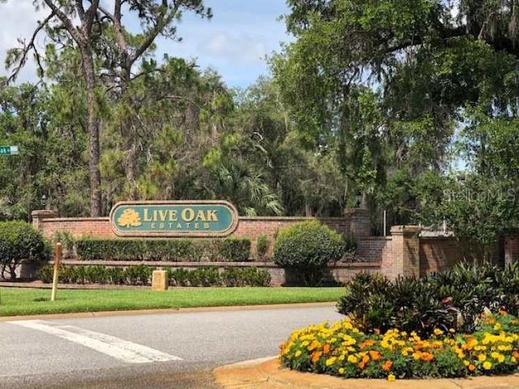 11718 RAMBLING OAK BOULEVARD, ORLANDO, Florida 32832, ,Land,For Sale,RAMBLING OAK,T3353564