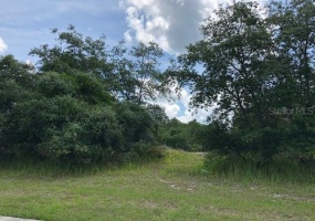 14315 BELLA LANE, ORLANDO, Florida 32832, ,Land,For Sale,BELLA,T3353592