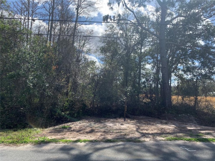 20416 PEABODY STREET, ORLANDO, Florida 32833, ,Land,For Sale,PEABODY,O6001618