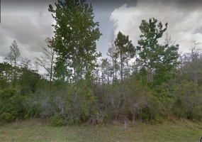 STARRY STREET, ORLANDO, Florida 32833, ,Land,For Sale,STARRY,S5050680