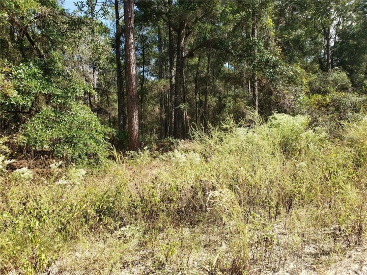 21ST PLACE, OCALA, Florida 34481, ,Land,For Sale,21ST,O6002787
