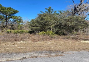 0 164TH PLACE, OCALA, Florida 34473, ,Land,For Sale,164TH,GC502458