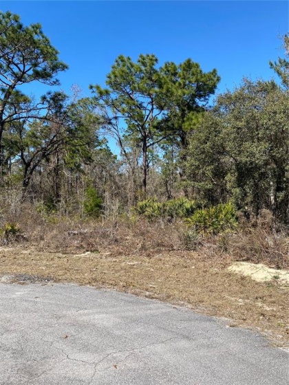 0 164TH PLACE, OCALA, Florida 34473, ,Land,For Sale,164TH,GC502458