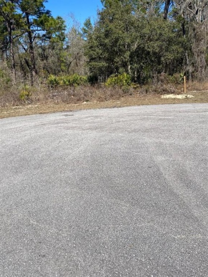 0 164TH PLACE, OCALA, Florida 34473, ,Land,For Sale,164TH,GC502458