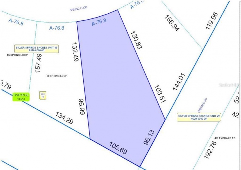 90 SPRING LOOP, OCALA, Florida 34472, ,Land,For Sale,SPRING,T3355464