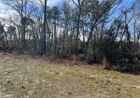 SW 59TH AVENUE ROAD, OCALA, Florida 34473, ,Land,For Sale,SW 59TH AVENUE ROAD,OM634274