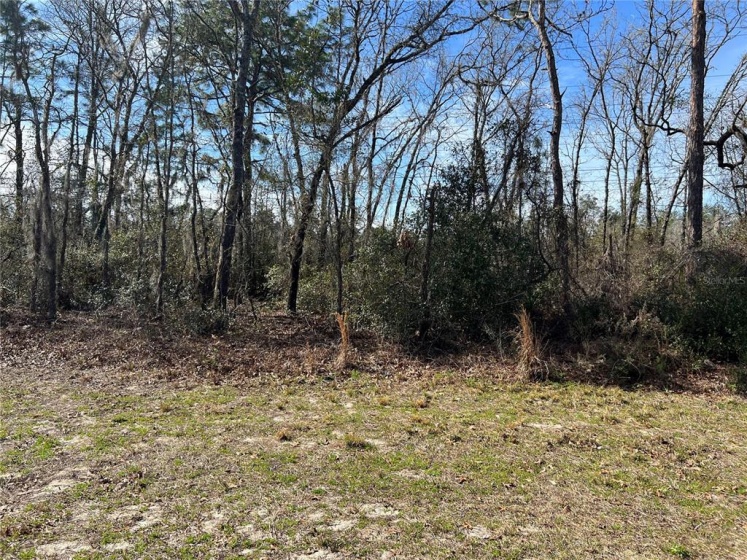 SW 59TH AVENUE ROAD, OCALA, Florida 34473, ,Land,For Sale,SW 59TH AVENUE ROAD,OM634274