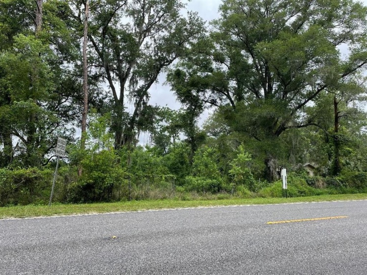 660 ORANGE BLOSSOM TRAIL, APOPKA, Florida 32703, ,Land,For Sale,ORANGE BLOSSOM,O6004073