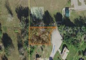 BARTOW, Florida 33830, ,Land,For Sale,P4919435