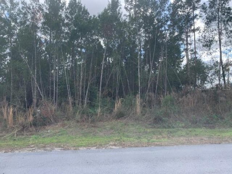 TBD 108TH LANE, OCALA, Florida 34476, ,Land,For Sale,108TH LANE,OM634364