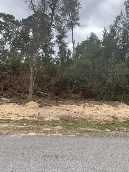 TBD 108TH LANE, OCALA, Florida 34476, ,Land,For Sale,108TH LANE,OM634364