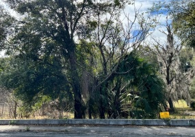 PITT STREET, CLERMONT, Florida 34711, ,Land,For Sale,PITT,O6004574