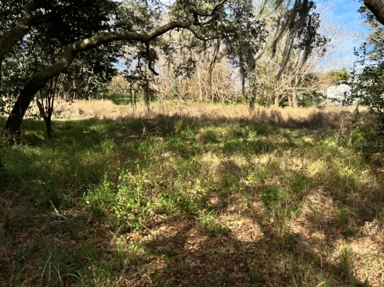 PITT STREET, CLERMONT, Florida 34711, ,Land,For Sale,PITT,O6004574