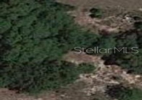 0 154 LANE ROAD, OCALA, Florida 34473, ,Land,For Sale,154 LANE,OM634449
