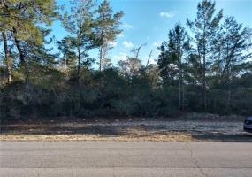 TBD MARION OAKS LANE, OCALA, Florida 34473, ,Land,For Sale,MARION OAKS,OM634480