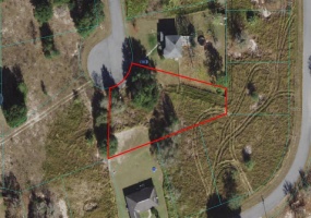 0 OAK TRAIL, OCALA, Florida 34472, ,Land,For Sale,OAK,OM634510