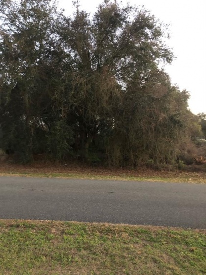 00 SW 134TH STREET, OCALA, Florida 34473, ,Land,For Sale,00 SW 134TH STREET,OM634531