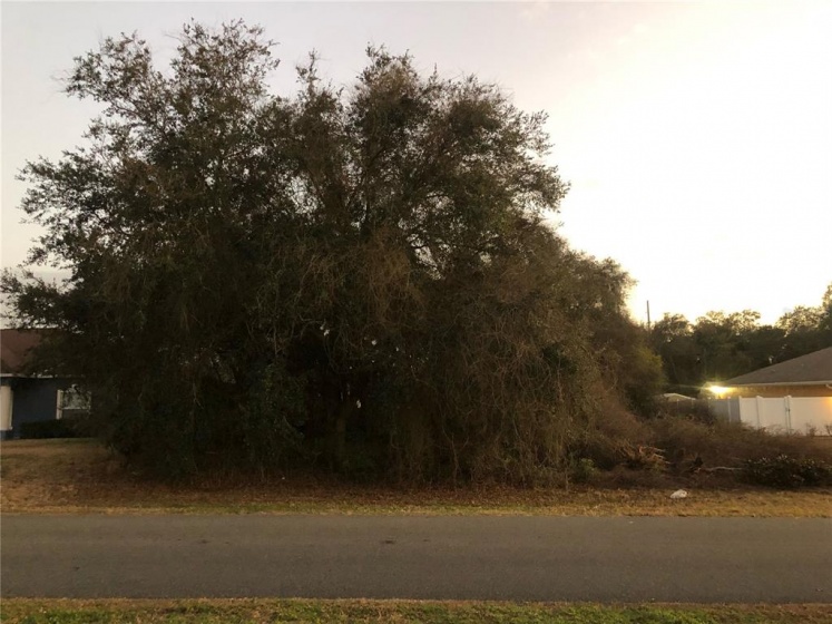 00 SW 134TH STREET, OCALA, Florida 34473, ,Land,For Sale,00 SW 134TH STREET,OM634531
