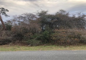 0 SW 43RD CIR, OCALA, Florida 34473, ,Land,For Sale,0 SW 43RD CIR,OM634200