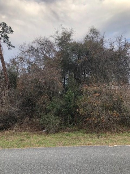 0 SW 43RD CIR, OCALA, Florida 34473, ,Land,For Sale,0 SW 43RD CIR,OM634200