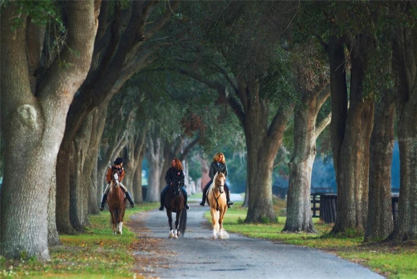 0 8TH AVENUE, OCALA, Florida 34480, ,Land,For Sale,8TH,OM634637