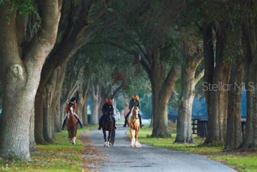 0 8TH AVENUE, OCALA, Florida 34480, ,Land,For Sale,8TH,OM634642