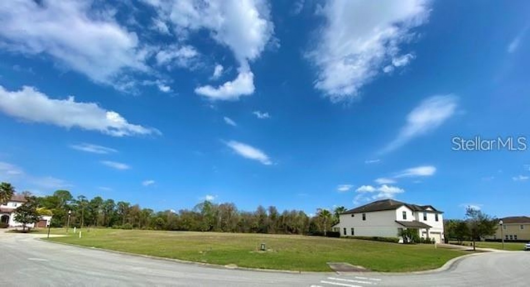 1209 WYNSTONE WAY, REUNION, Florida 34747, ,Land,For Sale,WYNSTONE,S5058883
