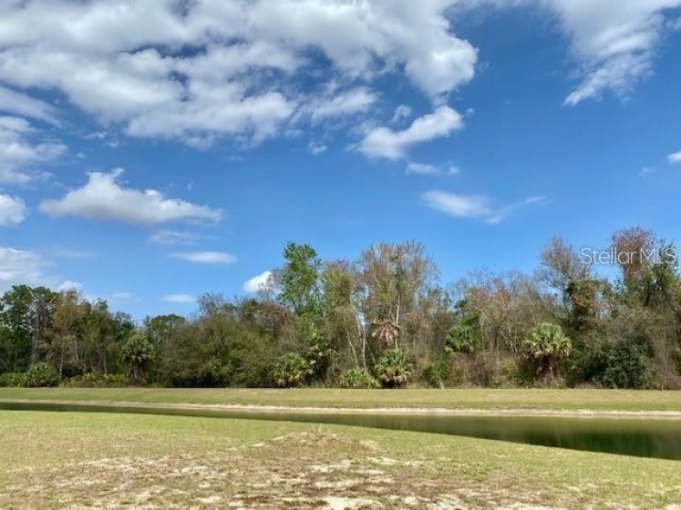 1209 WYNSTONE WAY, REUNION, Florida 34747, ,Land,For Sale,WYNSTONE,S5058883