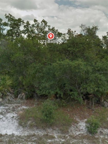 1272 BALTIC DRIVE, POINCIANA, Florida 34759, ,Land,For Sale,BALTIC,O5995041