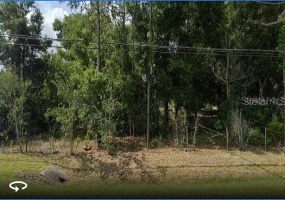 10336 BUCK ROAD, ORLANDO, Florida 32817, ,Land,For Sale,BUCK,O6005655