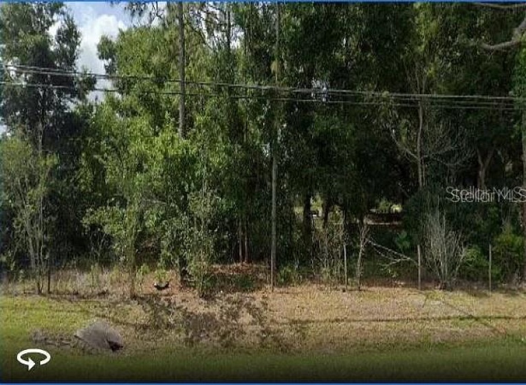 10336 BUCK ROAD, ORLANDO, Florida 32817, ,Land,For Sale,BUCK,O6005655