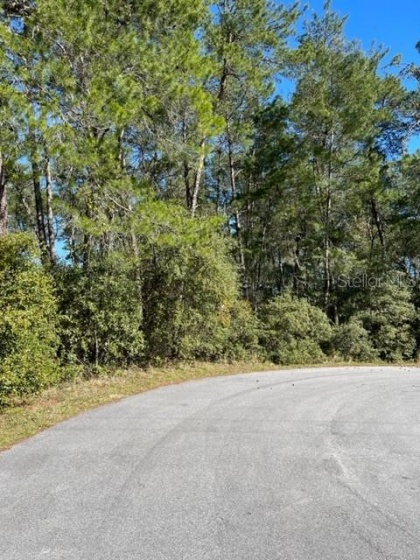 0 106TH PLACE, OCALA, Florida 34476, ,Land,For Sale,106TH,OM634710