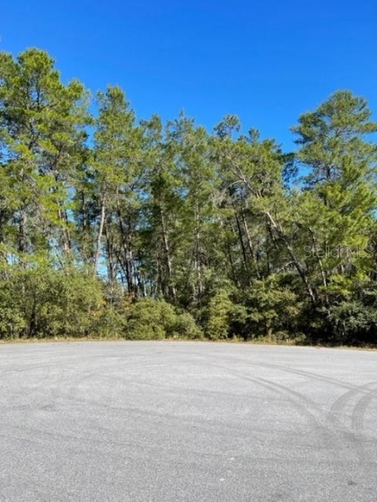 0 106TH PLACE, OCALA, Florida 34476, ,Land,For Sale,106TH,OM634710