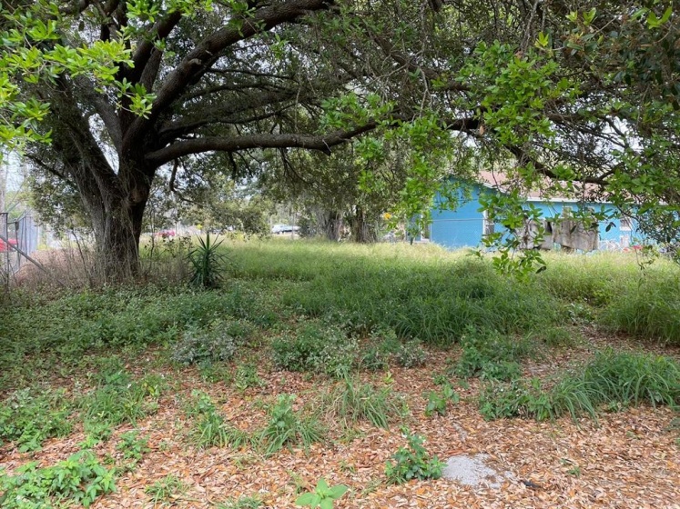 14730 SIPLIN ROAD, WINTER GARDEN, Florida 34787, ,Land,For Sale,SIPLIN,S5063296