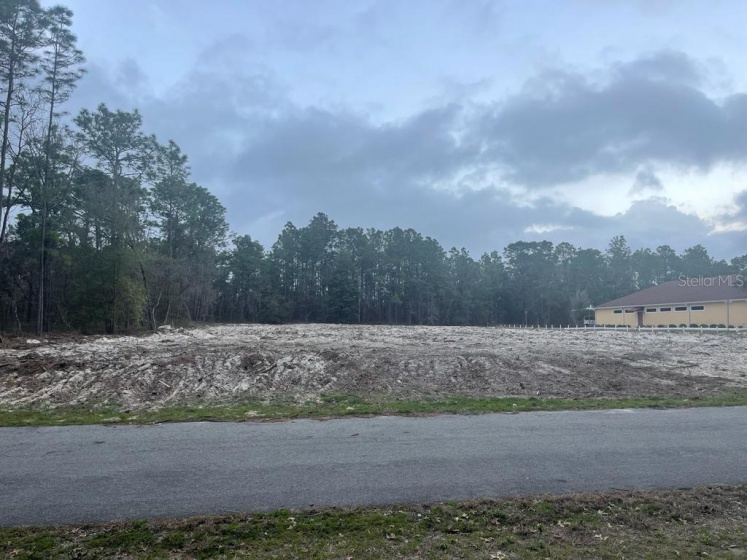 136 TH STREET, OCALA, Florida 34473, ,Land,For Sale,136 TH,O6005887