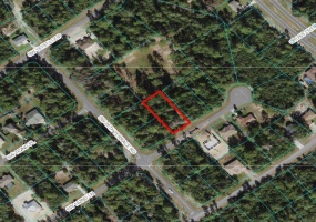 Lot 44 162ND LANE, OCALA, Florida 34473, ,Land,For Sale,162ND,OM634424