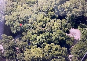 OCALA, Florida 34472, ,Land,For Sale,C7455743