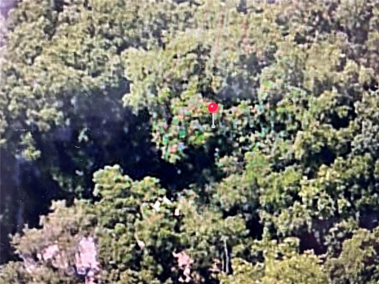 OCALA, Florida 34472, ,Land,For Sale,C7455743