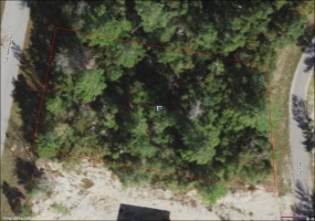148TH PLACE ROAD, OCALA, Florida 34473, ,Land,For Sale,148TH PLACE,O6005859
