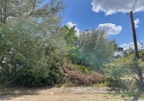 213 ASHFORD PLACE, KISSIMMEE, Florida 34758, ,Land,For Sale,ASHFORD,O6006079