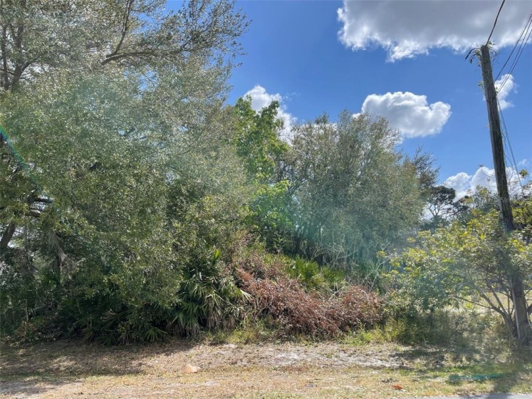 213 ASHFORD PLACE, KISSIMMEE, Florida 34758, ,Land,For Sale,ASHFORD,O6006079