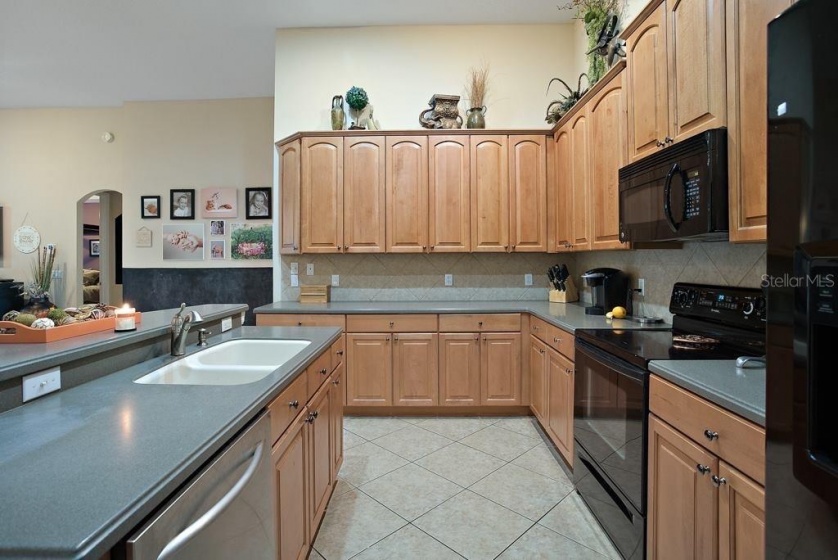 10447 OAKVIEW POINTE TERRACE, GOTHA, Florida 34734, 4 Bedrooms Bedrooms, ,3 BathroomsBathrooms,Residential,For Sale,OAKVIEW POINTE,O6005903
