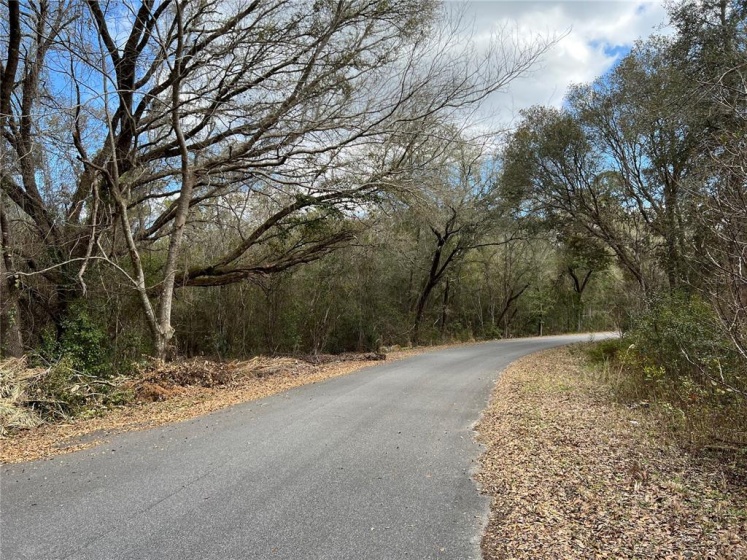 Lot 1 OAK LANE WAY, OCALA, Florida 34472, ,Land,For Sale,OAK LANE WAY,OM634805