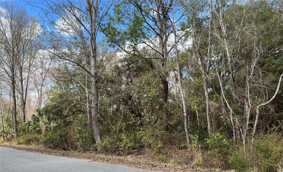 Lot 1 OAK LANE WAY, OCALA, Florida 34472, ,Land,For Sale,OAK LANE WAY,OM634805
